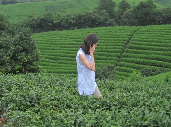 Walking-the-Anji-fields